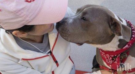 ужас бездомна жена съгрешила домашно куче