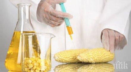 брюксел гласува гмо храните