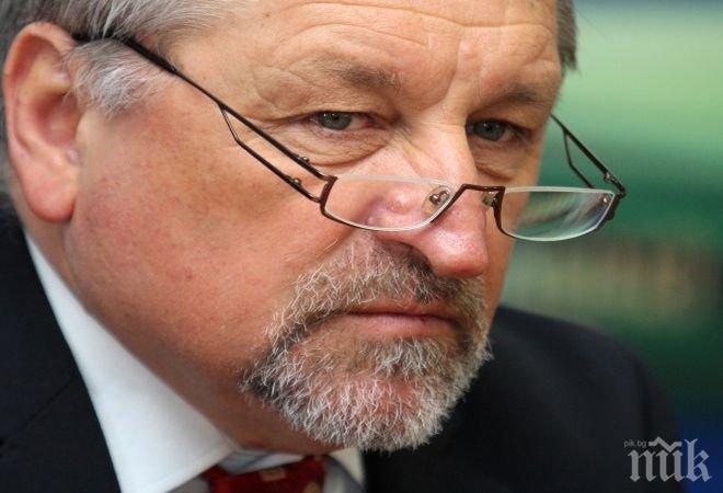 Шефът на Българския енергиен форум: Има интерес от западни компании да купуват зелена енергия от България
