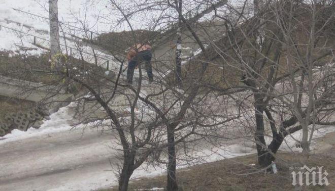 Гол мъж разбива лед с кирка в София 