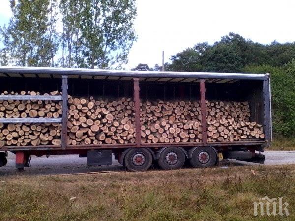 Камиони изнасят гората ни в Гърция