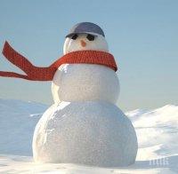 Саудитски духовник забрани правенето на снежни човеци, били антиислямски