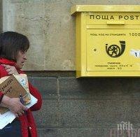 Изкоренени дървета потрошиха площенски клон в Шумен