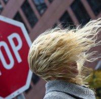 Ураганен вятър вилнее в Карлово! Изкорени 10 дървета, събори пътните знаци