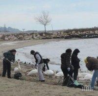 Двайсетина ентусиасти почистиха варненски плаж (снимка)