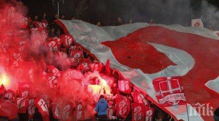 фенклуб сектор моли червените привърженици помощ