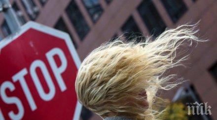 ураганен вятър вилнее карлово изкорени дървета събори пътните знаци