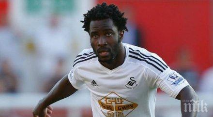 манчестър сити суонзи договориха вилфред бони