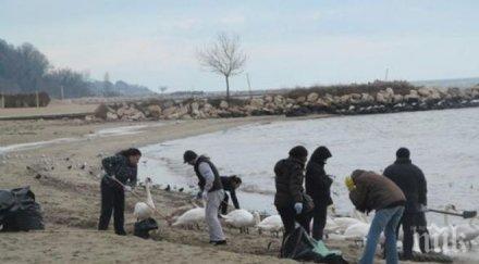 двайсетина ентусиасти почистиха варненски плаж снимка