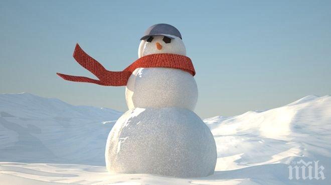 Саудитски духовник забрани правенето на снежни човеци, били антиислямски