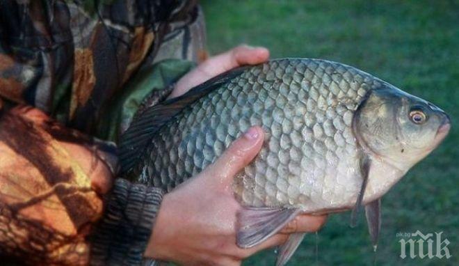 400 м бракониерски мрежи и риба извадиха от язовир Тича