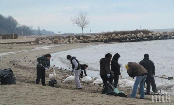 Двайсетина ентусиасти почистиха варненски плаж (снимка)