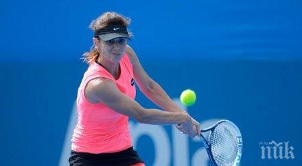 цвети захлавова стрицова кен розуел арина 800