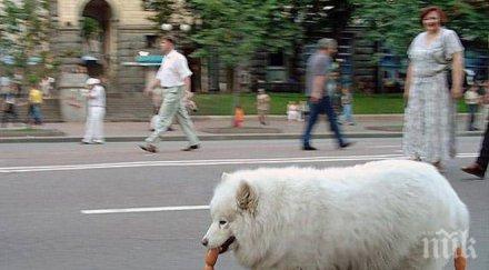 tоп вредните храни българия вижте продукти тровят разболяват