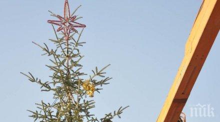 свалят коледната украса благоевград