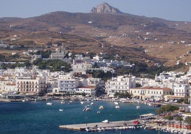 На плажната ивица в курорта Слънчев бряг е открита застреляна видра