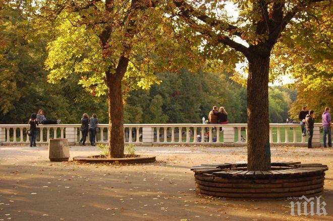 Вандали вилняха в парк Розариум в Казанлък
