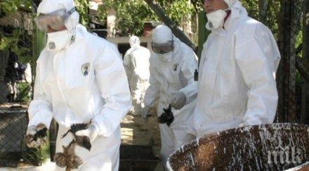 ужас двама души станаха жертви птичия грип