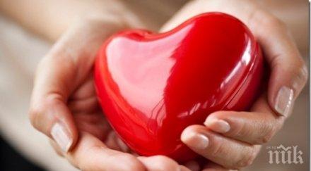 уникален любовен хороскоп 2015 година вижте какви проблеми сблъскате хора заслужават доверието