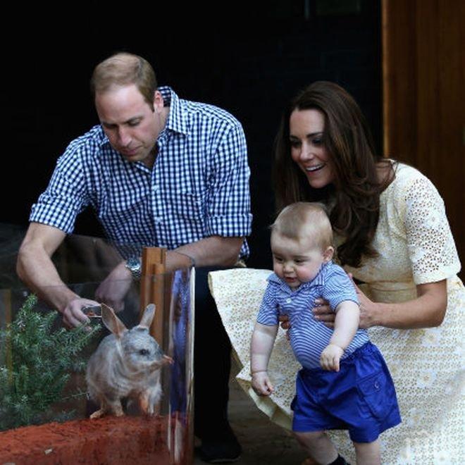 Почти 800 подаръка е получил принц Джордж през миналата година