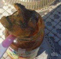 Огромен мухъл изскочи от пюрето на дете, уж било годно до юли 2016 г.