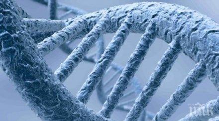 швейцарски учени удължаваме живота определен ген