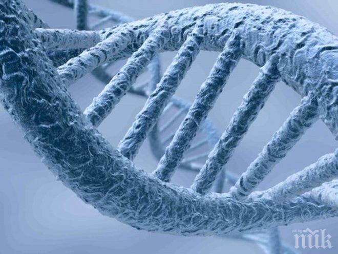 Швейцарски учени: Удължаваме живота си чрез определен ген