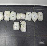 Откриха 5 кг опиум в статуя на конска глава на Капитан Андреево (снимки)