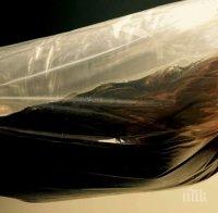 Задържаха два милиона змиорки