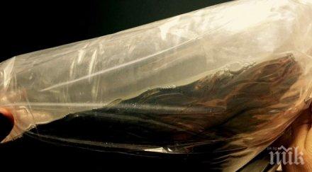 задържаха два милиона змиорки