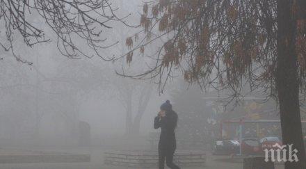 места видимостта ограничена заради мъгла