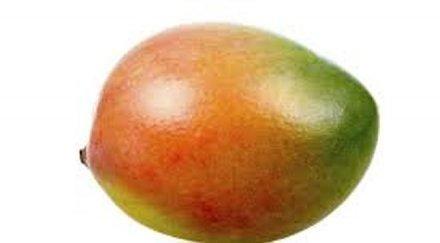 европейският съюз разреши вноса индийско манго