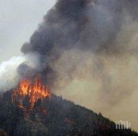 Вдигат 9 кули за откриване на пожари в горите