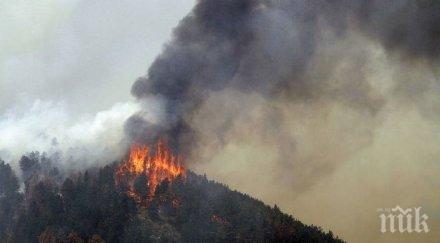 вдигат кули откриване пожари горите