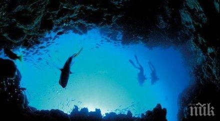 синьото сияние водата хонконгския бряг токсично