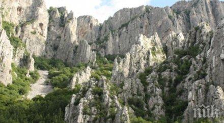 почитаме жертвите бомбардировките враца