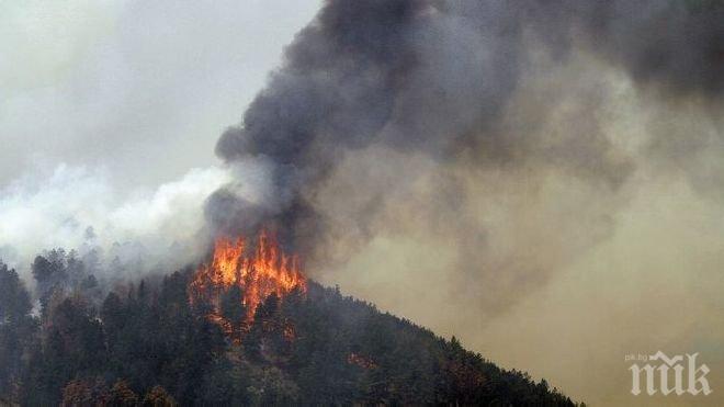 Вдигат 9 кули за откриване на пожари в горите