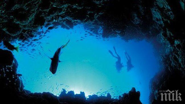 Синьото сияние във водата край хонконгския бряг е токсично 