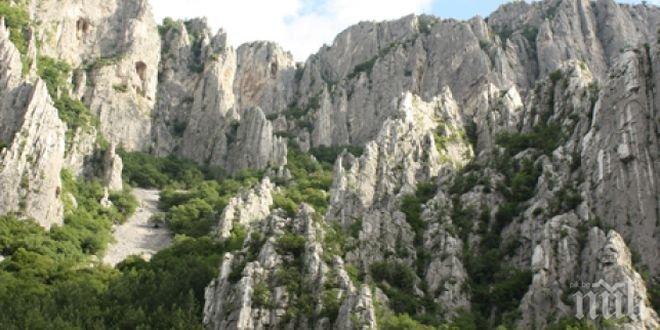 Почитаме жертвите от бомбардировките над Враца