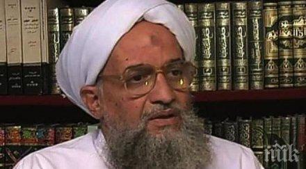 кайда арабския полуостров включи атаката шарли ебдо тримесечния доклад