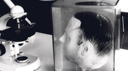 погребват главата вампира хановер