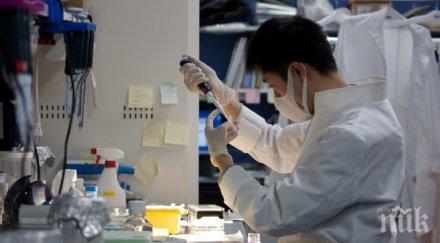 паника регистрираха първи случай птичи грип българия