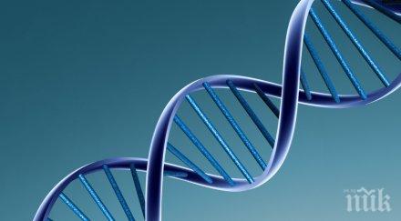 лоши навици случайни грешки деленето клетките причинявали рак