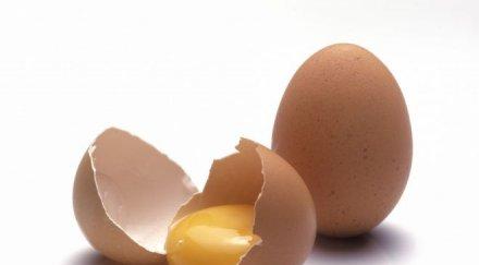 учени върнаха сварено яйце сурово състояние