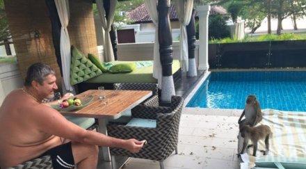 маймуни атакуваха любо ганев малайзия снимка