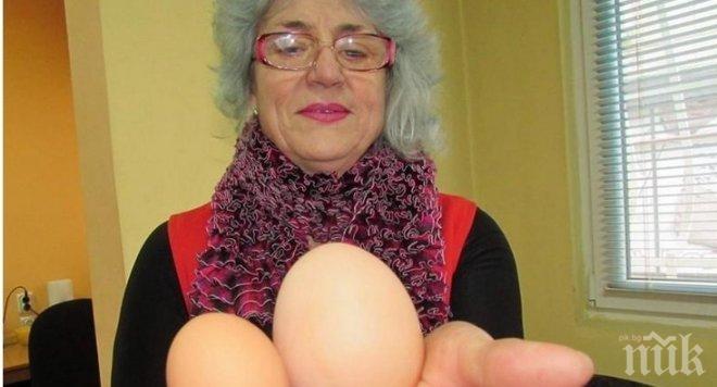 Рекорд! Кокошка снесе 190-грамово яйце в Шумен! (снимка)