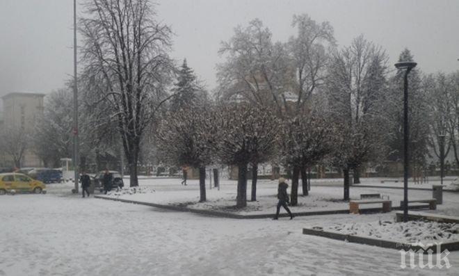 Сняг на парцали заваля в София