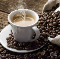 Учени: Едно кафе на ден пази от рак на кожата