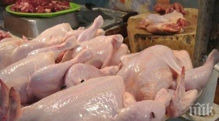 дръжте домашните животни затворени заради птичия грип съветват експерти