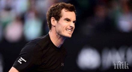 солиден мъри сгази бердих класира финал мелбърн